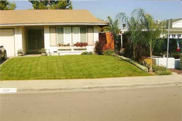 After lawn installation