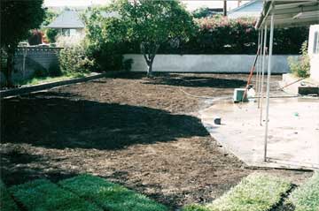 Before lawn installation