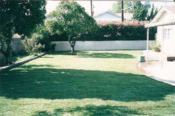 After lawn installation