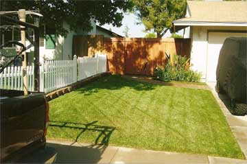 After lawn installation