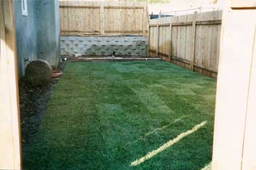 After lawn installation