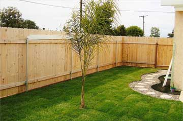 After lawn installation