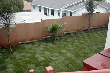 After lawn installation