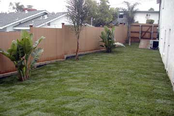After lawn installation