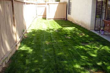 After seeding installation