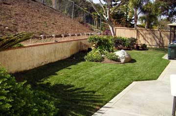 After seeding installation